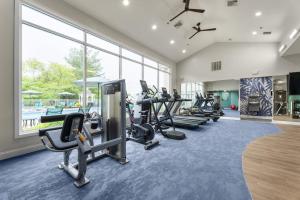Apartments in Limerick, Pennsylvania - Pool Views from Inside the Fitness Center