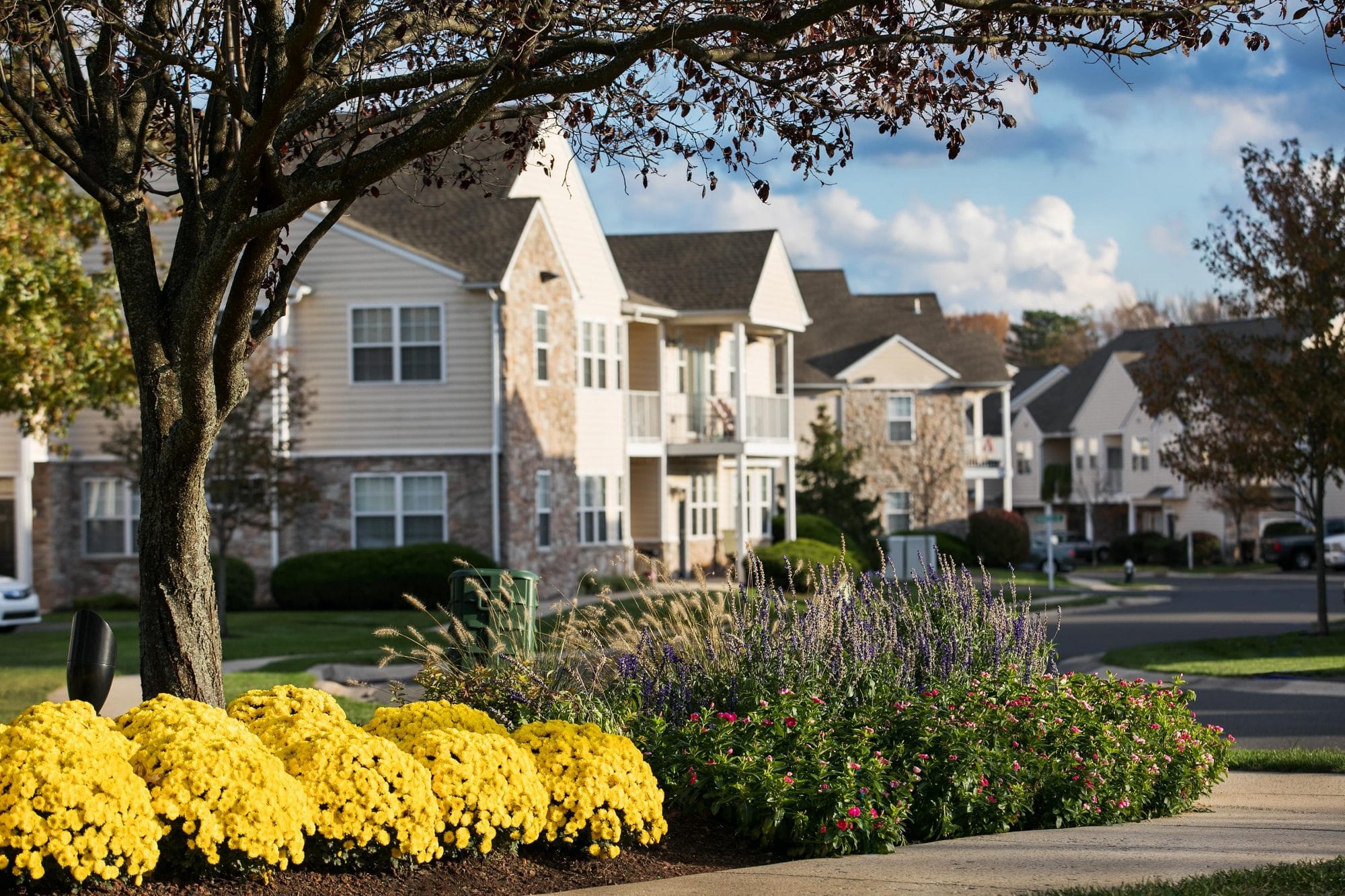 Apartments For Rent In Limerick Pa Botanica Cottages