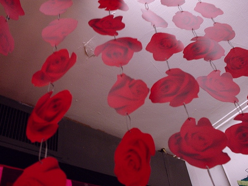 Red roses suspended in a 2-bedroom room.