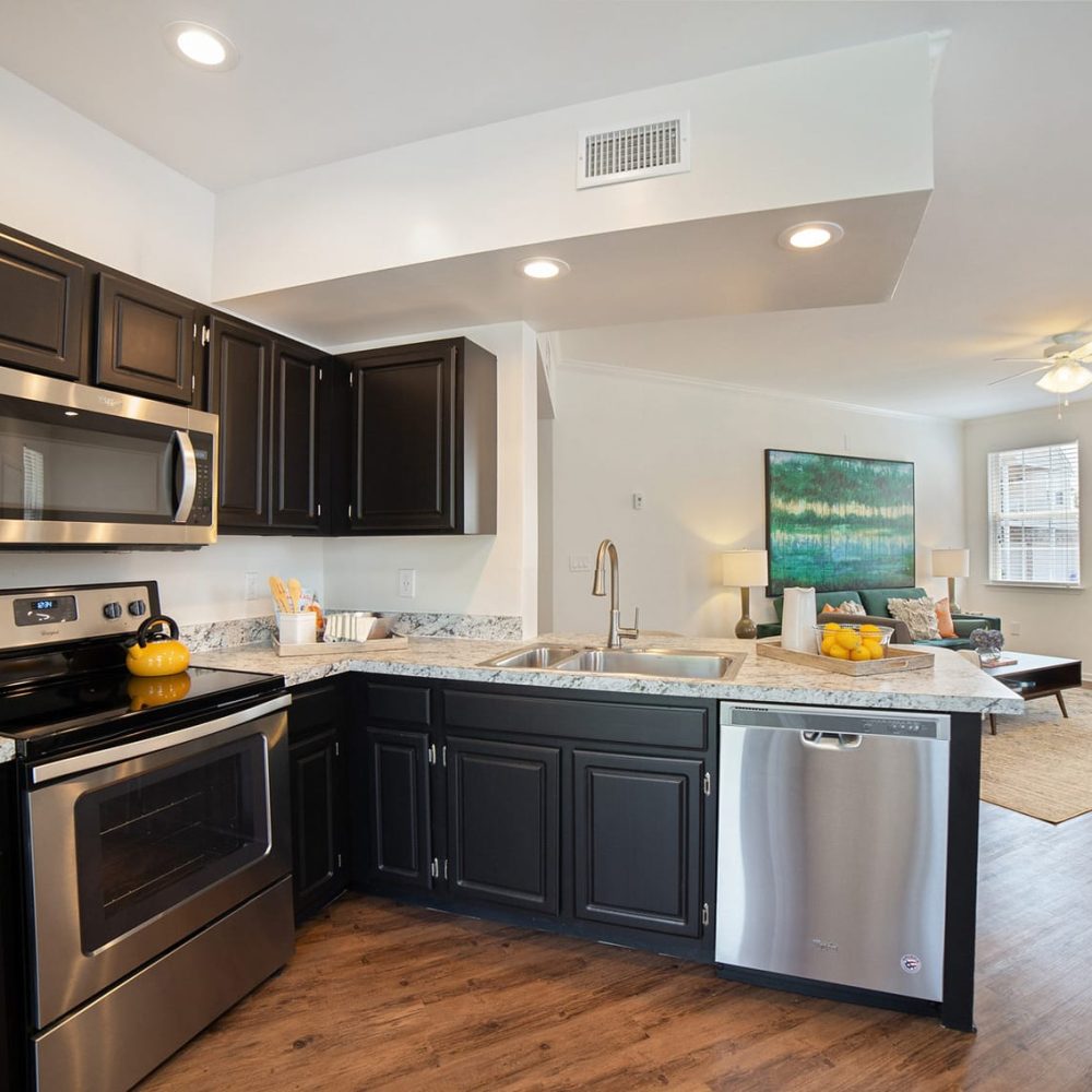 Your Two Bedroom Apartment featuring a kitchen with stainless steel appliances and black cabinets.