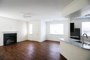 1 bedroom apartments for rent in Limerick                                        