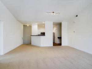 Empty living room with beige carpet and white walls, perfect for setting up a media corner or entertainment area.
