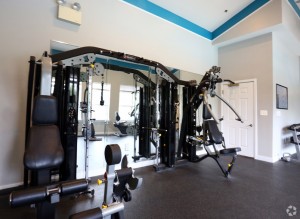 Apartments for rent Fitness Center 3      